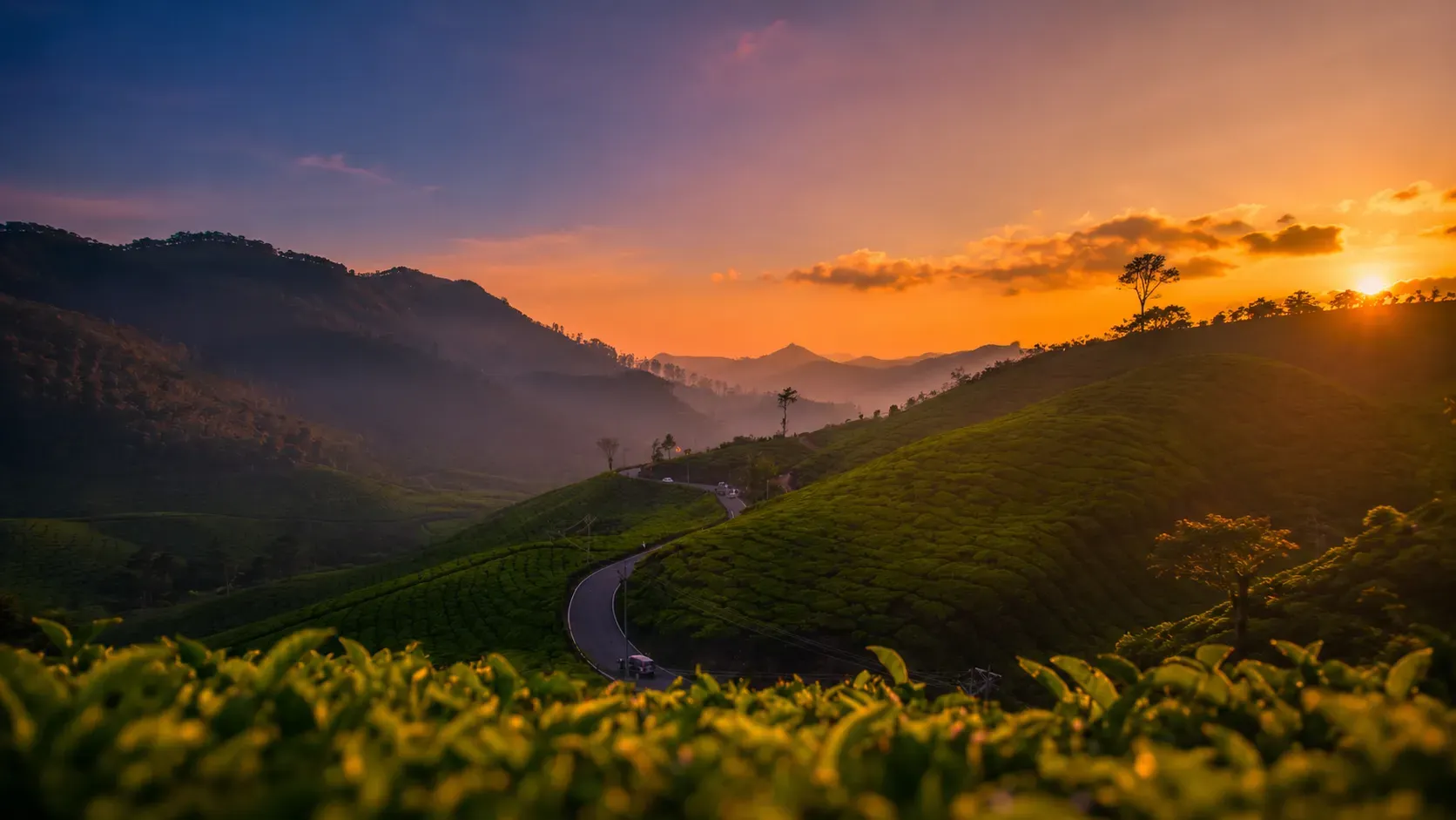 Kerala backwaters and hills — plan a custom Kerala tour