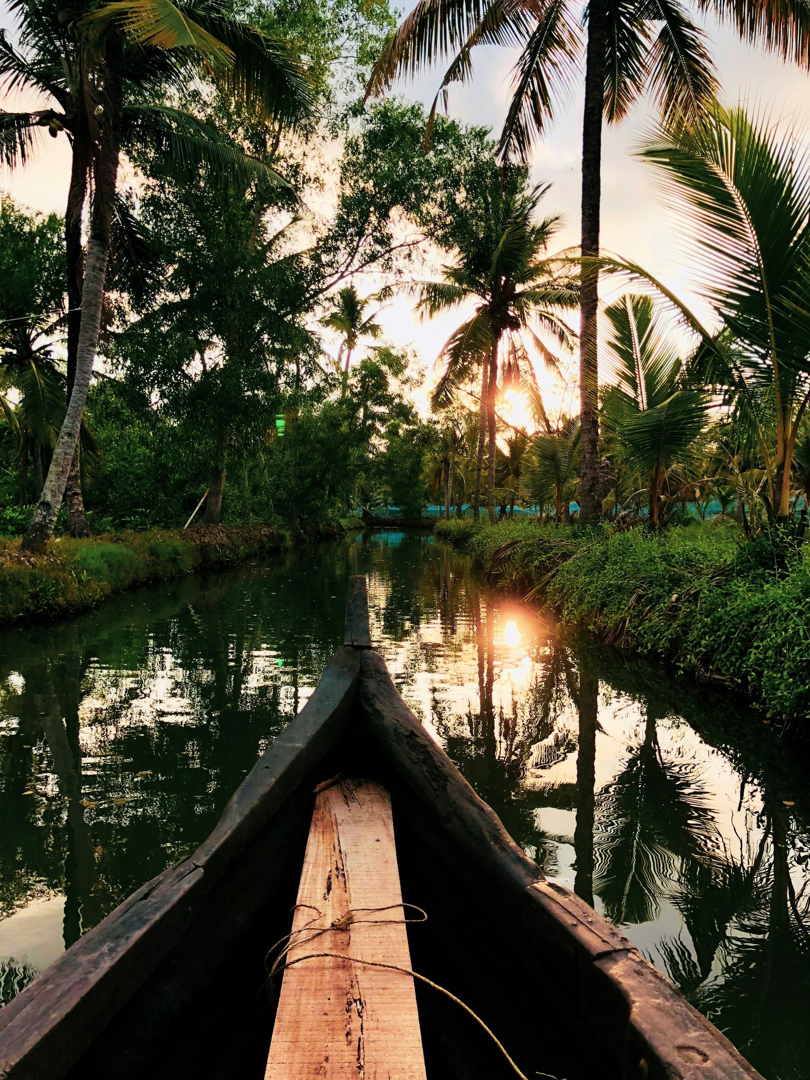 4 Nights / 5 Days Premium Tour — Kerala tour covering Munnar, Thekkady, Alleppey, Cochin